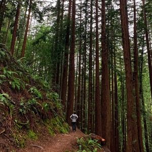 Meet your Posher, Tanya